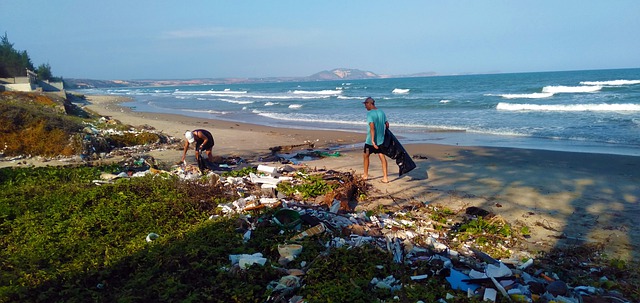 world cleanup day 