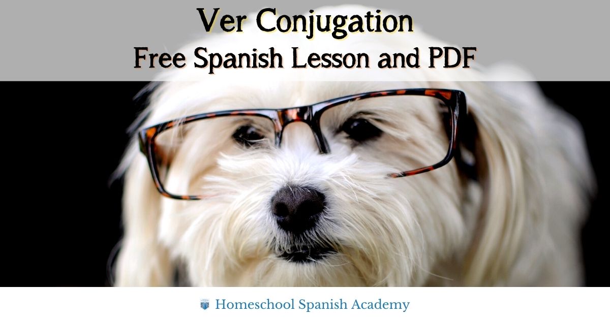 Ver Conjugation: Free Spanish Lesson, Exercises, and PDF