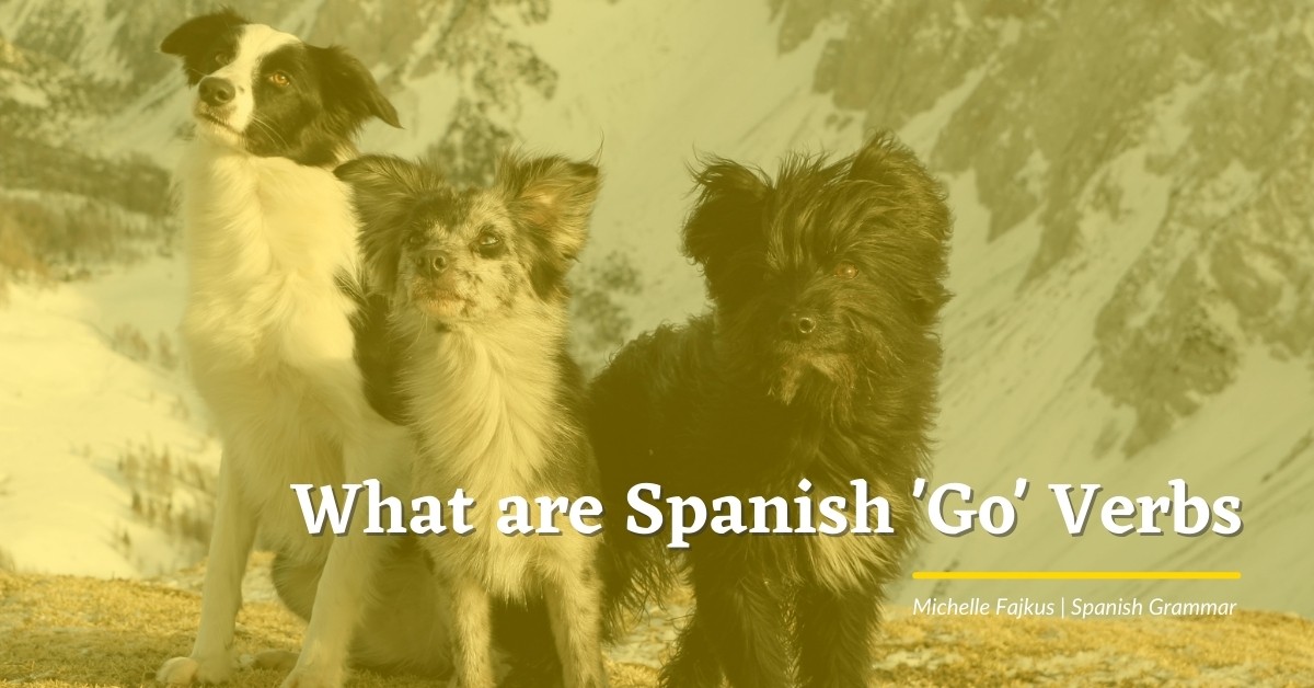 what-are-spanish-go-verbs
