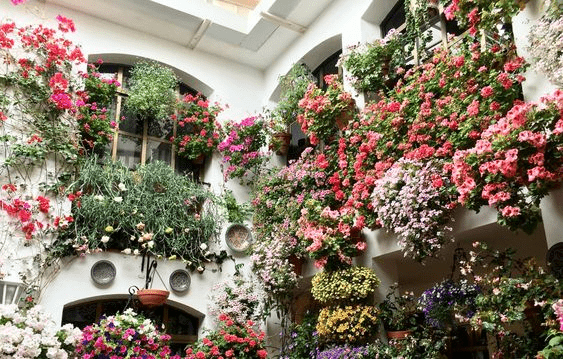 festival de los patios