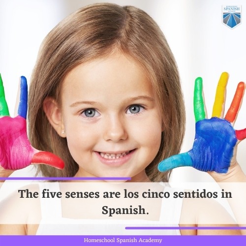 senses in Spanish