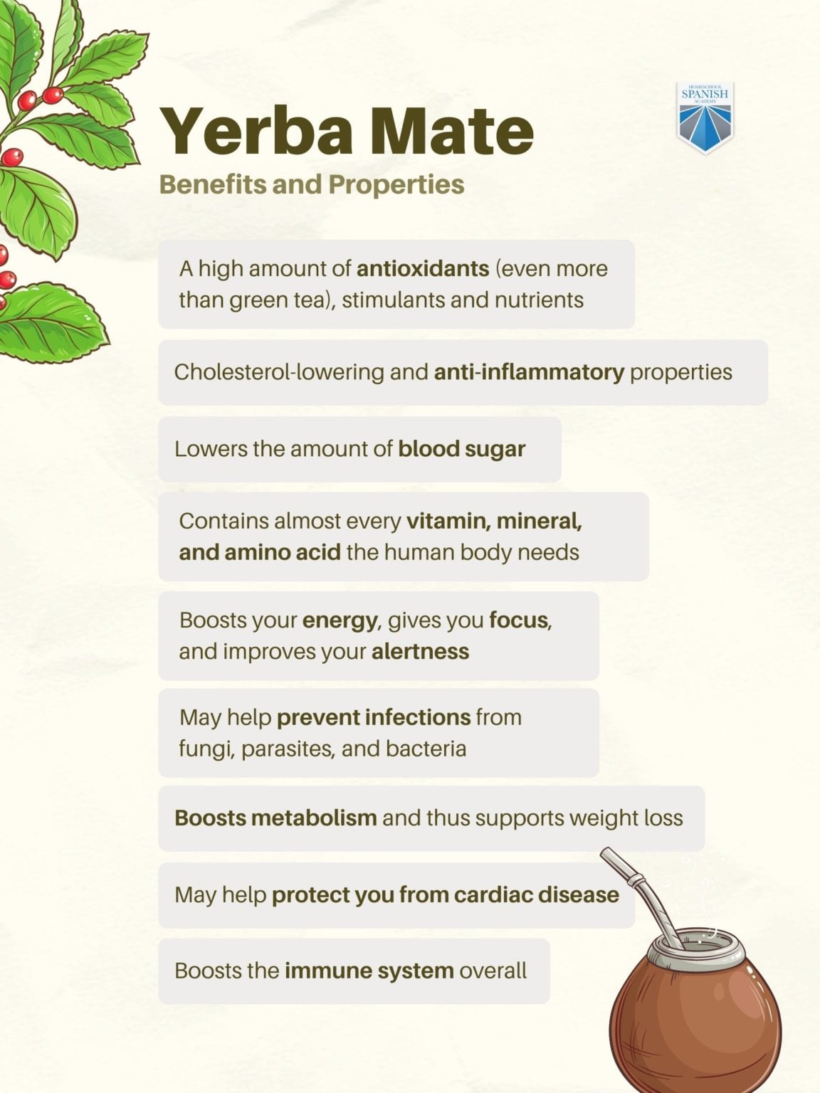 All About Yerba Mate Argentina’s National Drink