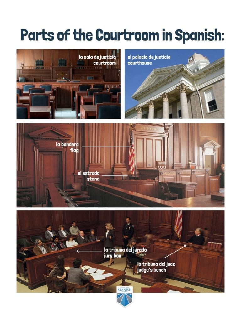 Courtroom Infographic