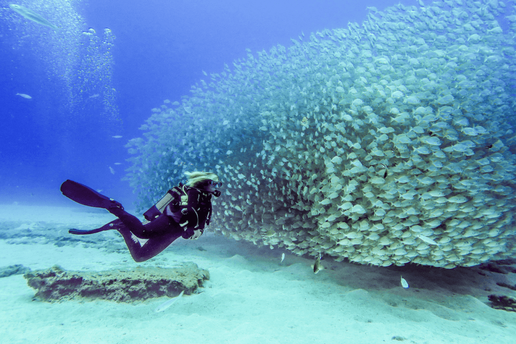 The Ultimate Vocabulary Guide to Water Skiing and Sports in Spanish