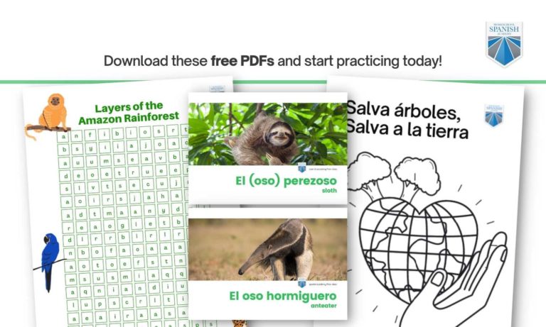 Amazon Rainforest Facts (Free Spanish Lessons for Kids)