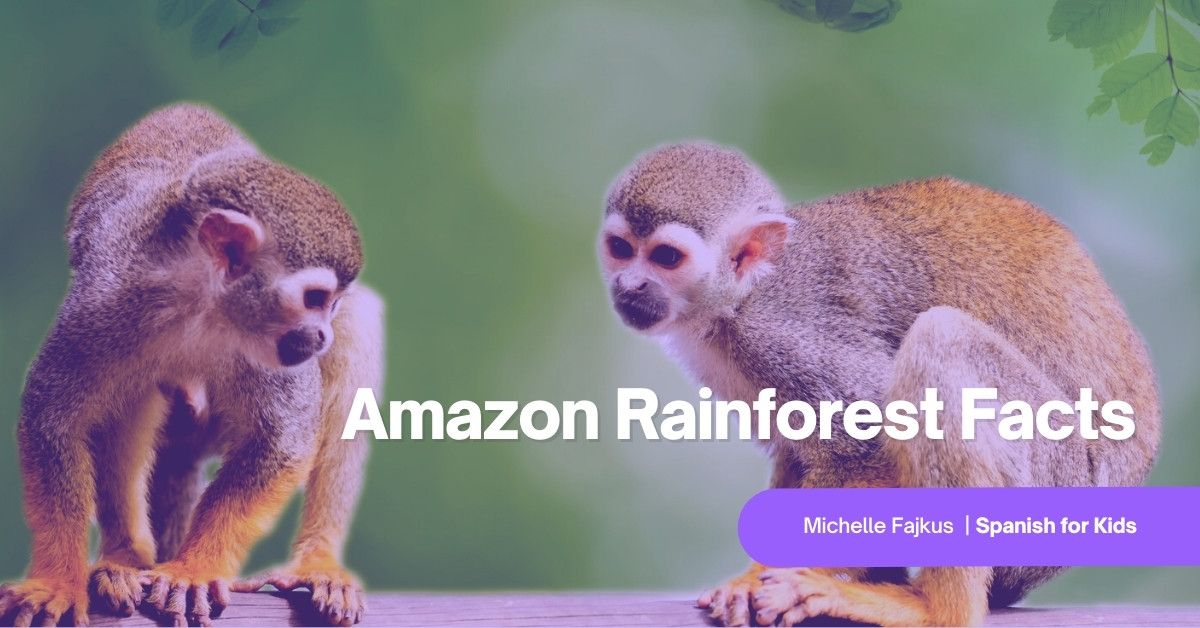 Amazon Rainforest Facts (Free Spanish Lessons for Kids)