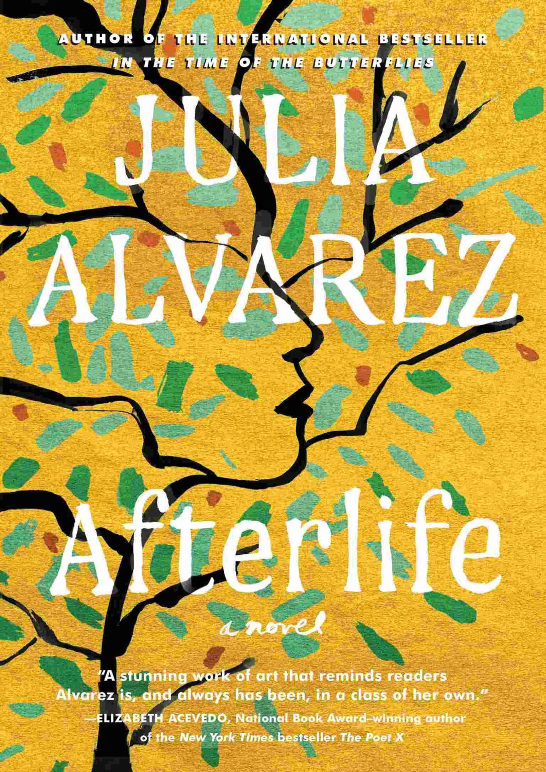 Culture in Prose Books and Poems by Julia Alvarez
