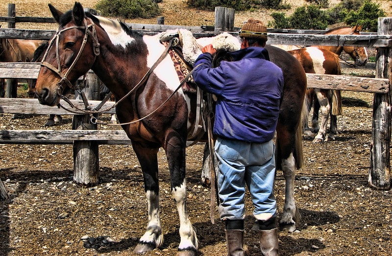 Patagonia