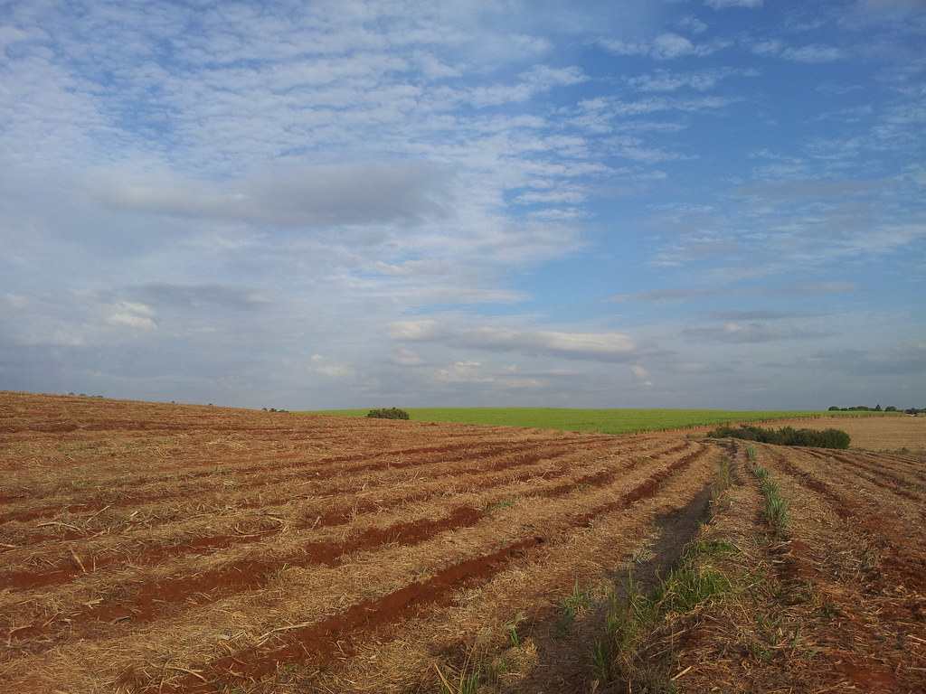 Latin American economy