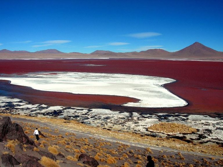 11 Amazing Facts About Bolivia's Salar de Uyuni Salt Flats