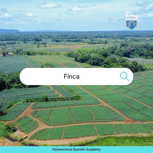 types of houses in Spanish