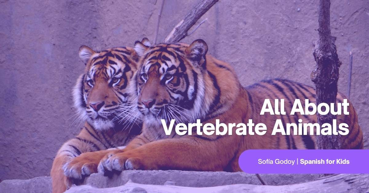 All About Vertebrate Animals (Free Spanish Lessons for Kids)