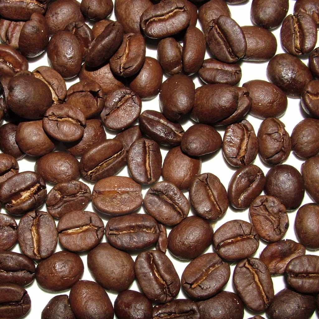 coffee in Latin America