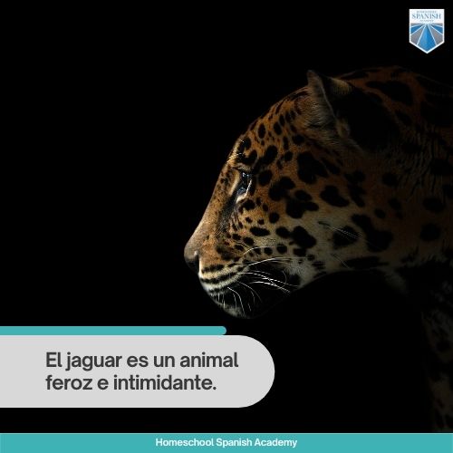 El jaguar es un animal feroz e intimidante.

