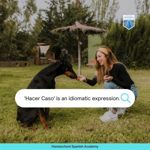 hacer caso is an idiomatic expression.