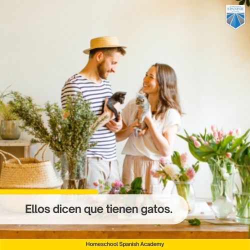 Ellos dicen que tienen gatos