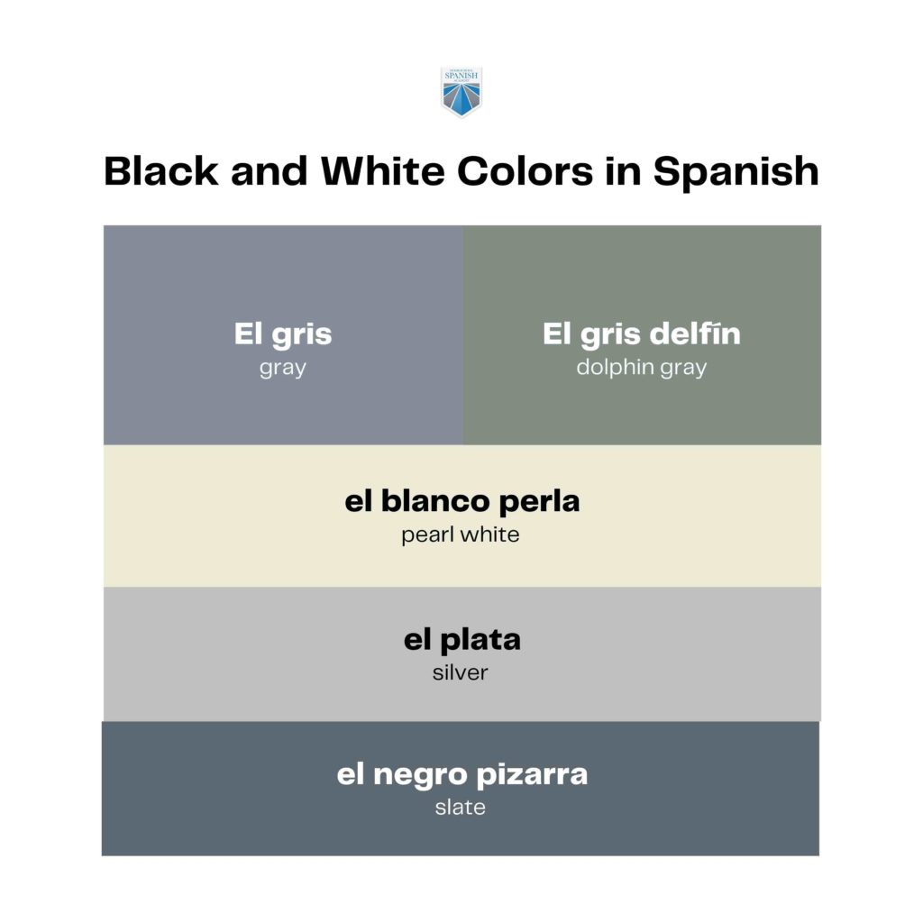 Black and White colors infographic