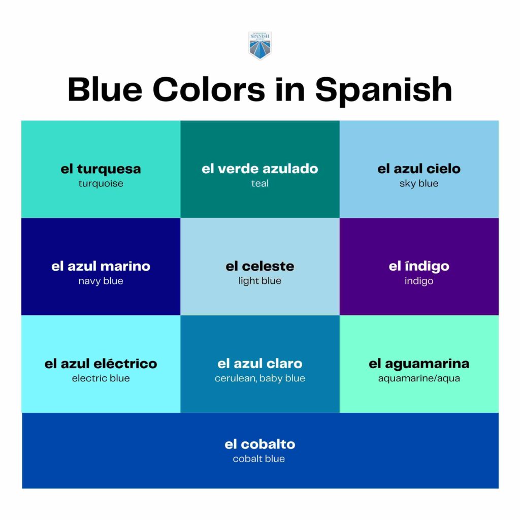 Blue colors infographic