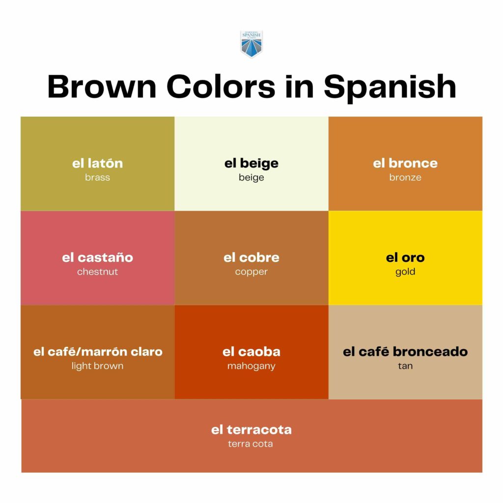 Brown in Spanish infographic