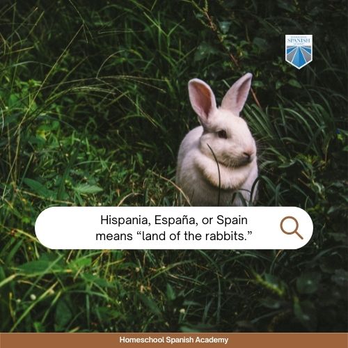 Hispania, España, or Spain means “land of the rabbits.”