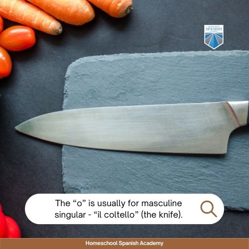 In Spanish, if a word doesn’t end in “a” it is usually masculine singular - el cuchillo (the knife)