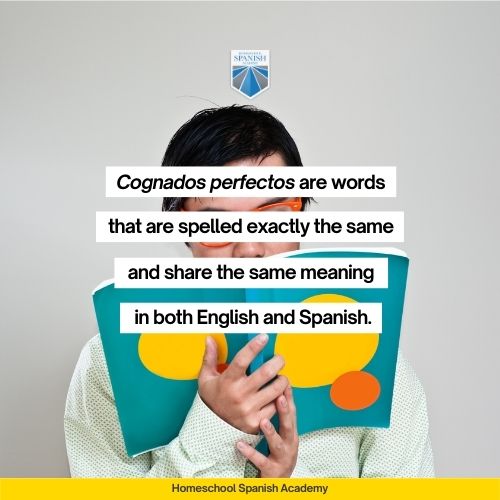 Cognados perfectos are words that are spelled exactly the same and share the same meaning in both English and Spanish. 