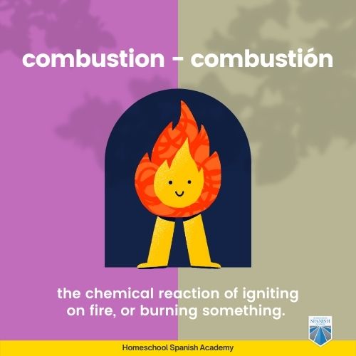 Combustion — combustión