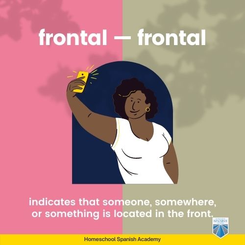 Frontal — frontal