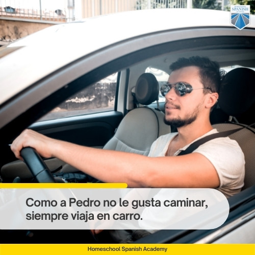 how to use como in Spanish example image: Como a Pedro no le gusta caminar, siempre viaja en carro.