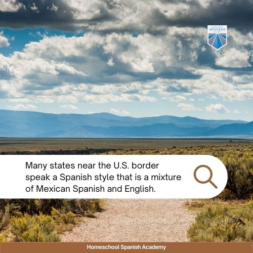 Many states near the border speak a Spanish style that is a mixture of Mexican Spanish and English. 