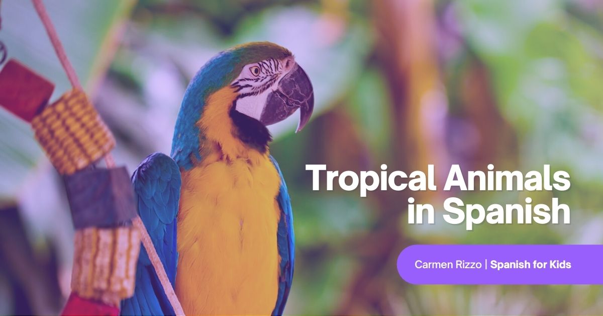 Tropical Animals In Spanish Free