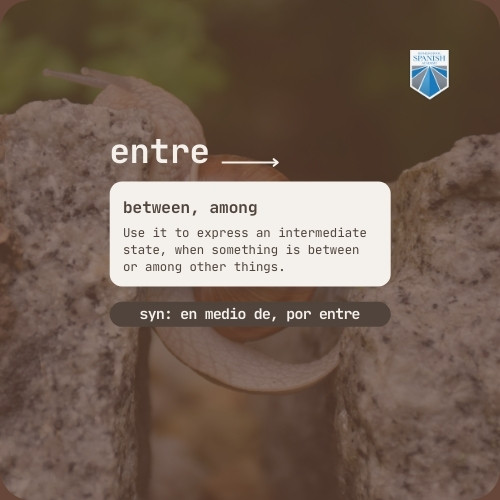 entre image example