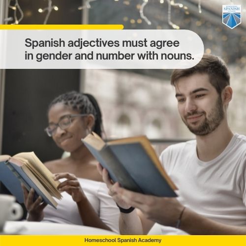 Spanish adjectives must agree in gender and number with nouns.