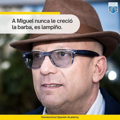 Spanish adjectives example - A Miguel nunca le creció la barba, es lampiño.