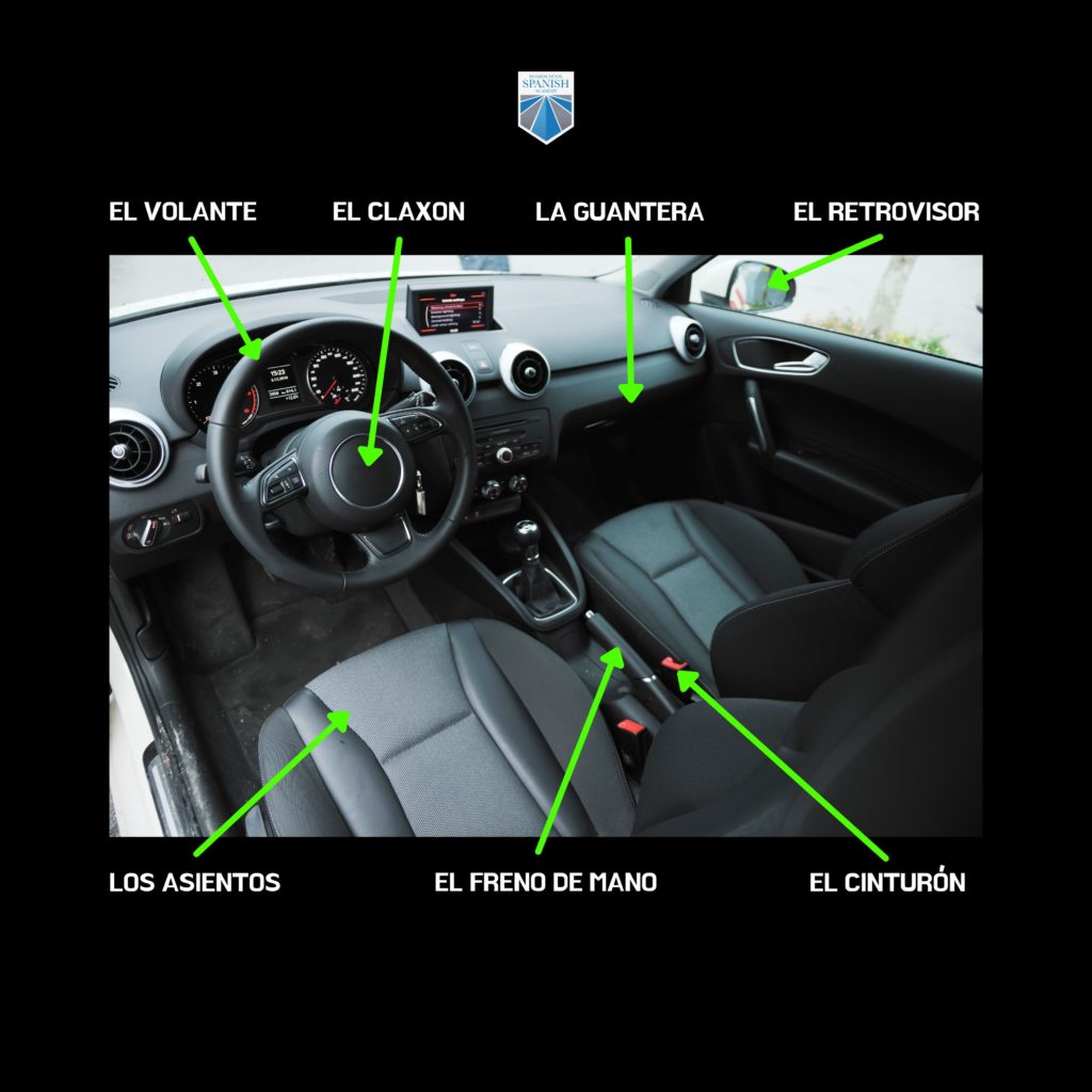 Car Interior infographic