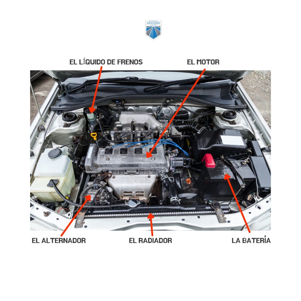 car parts in Spanish - Under the Hood infographic