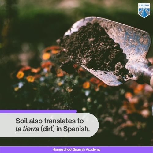 Soil also translates to la tierra (dirt) in Spanish. 