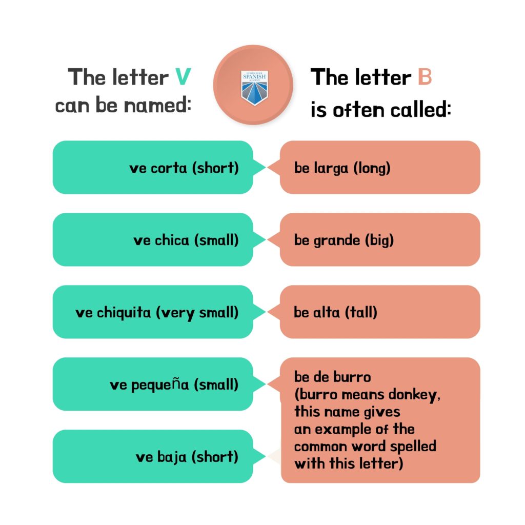 B and V - Letter Names infographic