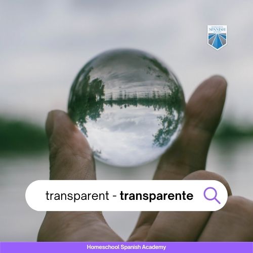transparente image example - five senses in Spanish