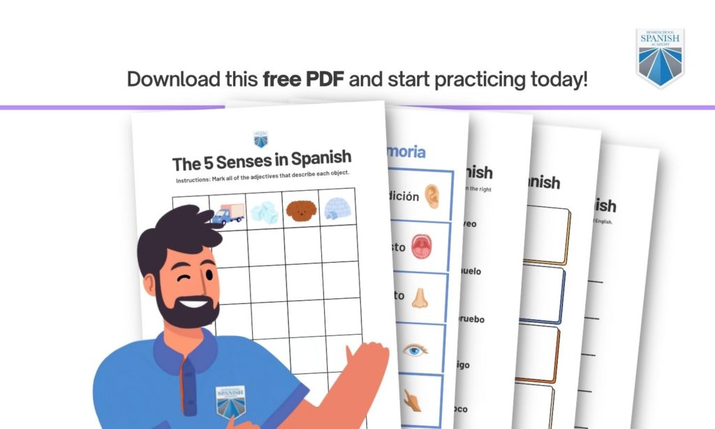 five senses in Spanish download preview