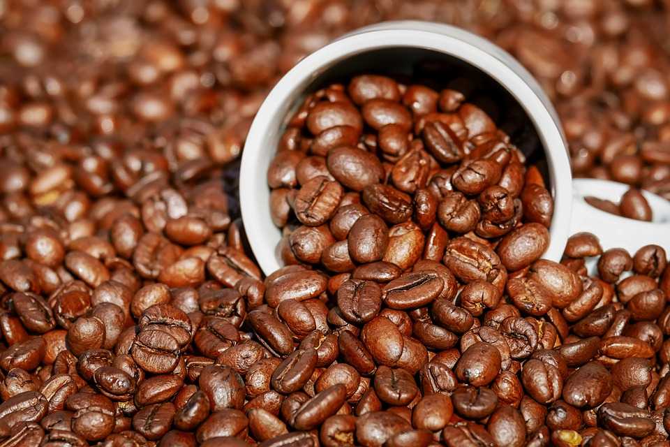 facts about Guatemala coffee