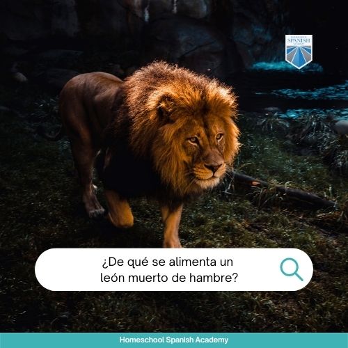 ¿De qué se alimenta un león muerto de hambre?