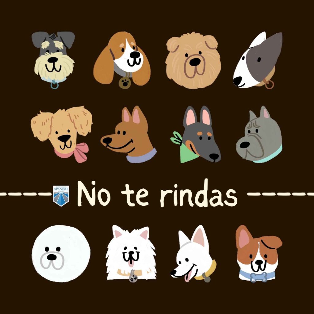 Don’t Give Up - No te rindas