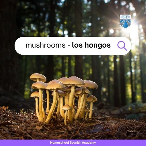 Earth day in Spanish - hongos