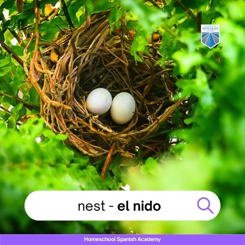 Earth day in Spanish - el nido