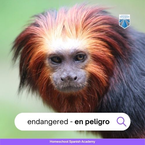 en peligro - endangered