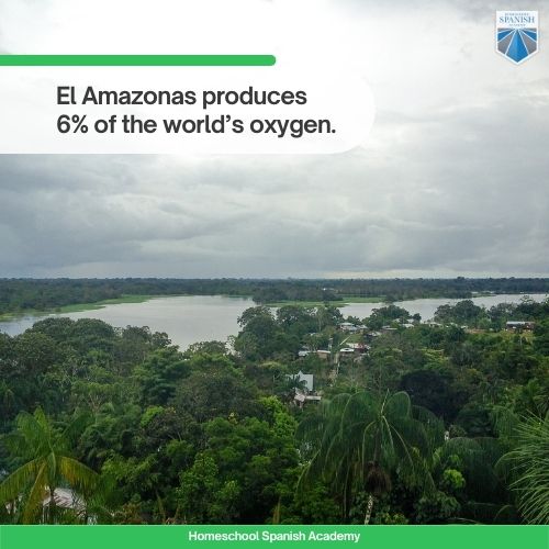 El Amazonas produces 6% of the world’s oxygen.