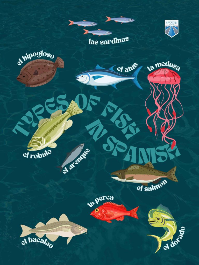 Parts of a Fish in Spanish infographic