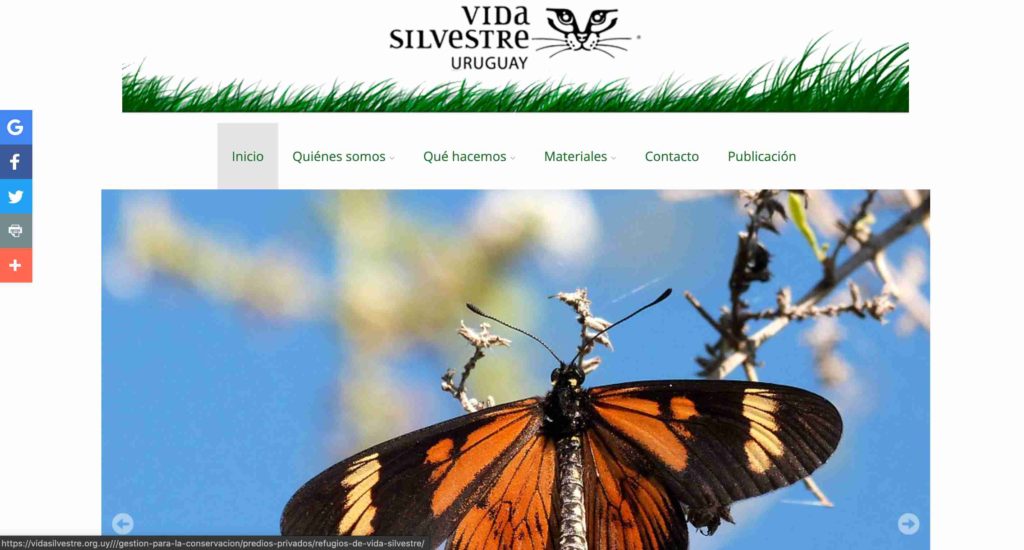 NGOs in Spanish-speaking countries - Vida Silvestre
