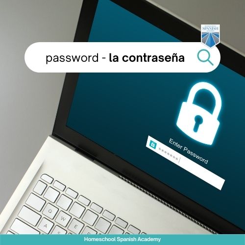 password - la contraseña